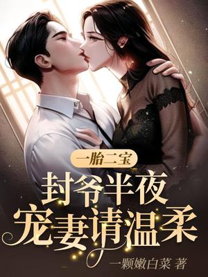 一胎二宝:封爷半夜宠妻请温柔