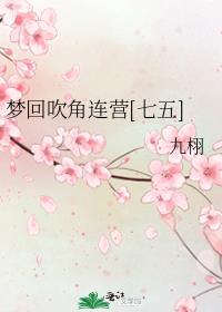 梦回吹角连营[七五]