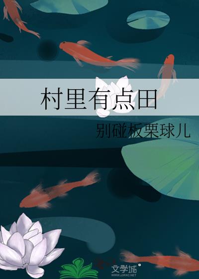 村里有点田